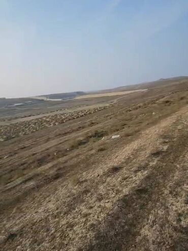 Torpaq sahələrinin satışı: 54 sot, Kənd təsərrüfatı, Maklerlər narahat etməsin, Kupça (Çıxarış) — 6