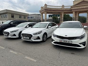 Кызматтар: Ижарага берем Kia K5, Узак мөөнөткө, Айдоочусуз, | Күрөө, Алдын ала төлөө, Айдоочулук күбөлүк — 2