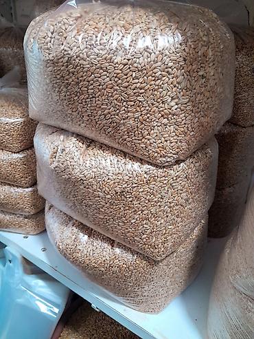 yemlər: Buğda - 0.42 q. hazır 50 kg kisələrdə Ünvan: Binə savxoz.( Çox alana — 6
