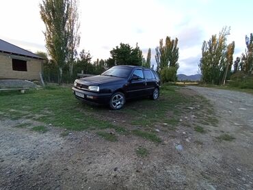 продаю марк х: Volkswagen Golf: 1992 г., 1.6 л, Механика, Бензин, Хэтчбэк