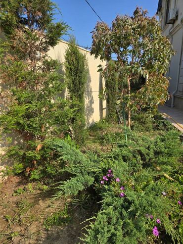 Uzunmüddətli kirayə evlər: 212 kv. m, 4 otaqlı, Kanalizasiya, Kombi, Qaz -da lalafo.az — 19 Uzunmüddətli kirayə evlər: 212 kv. m, 4 otaqlı, Kanalizasiya, Kombi, Qaz — 19