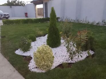 Bağbanlar: Bağban xidməti qazon biçmək ağacların biçilməsi budanması — 4