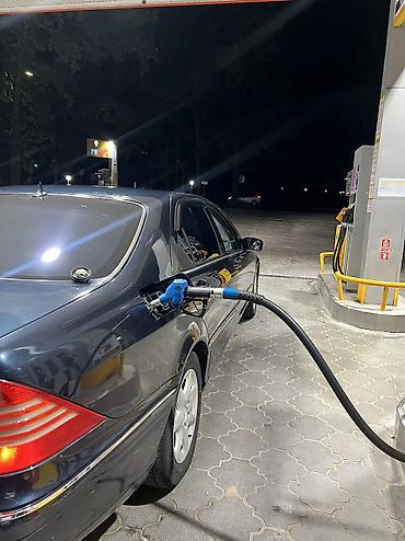 мерс 815: Mercedes-Benz S-Class: 2001 г., 4.3 л, Типтроник, Бензин, Седан — 6