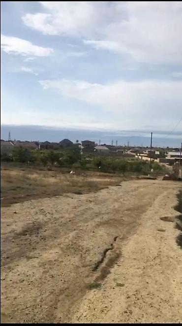 pirşağa: 10 sot, Tikinti, Bələdiyyə — 2