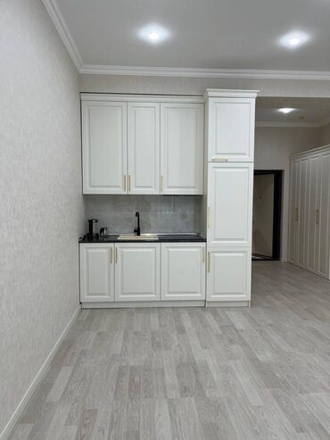 Uzunmüddətli kirayə mənzillər: Sabunçu Rayonu Sea Breeze Resort 1 otaq.(Studia) Mərtəbə - 7/2 Otaq — 24