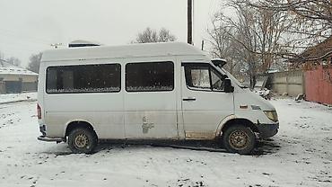 Mercedes-Benz: Mercedes-Benz Спринтер: 2003 г., 2.2 л, Механика, Дизель, Бус — 1