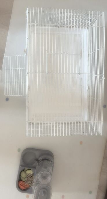 Декоративные кролики: Полный набор для содержания декоративного кролика. В комплекте: - — 19