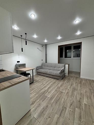 Долгосрочная аренда квартир: Студия, Собственник, Без подселения, С мебелью полностью — 1