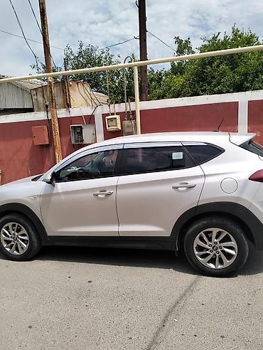 cesqa 2 mator: Hyundai Tucson: 2 l | Krossover — 1