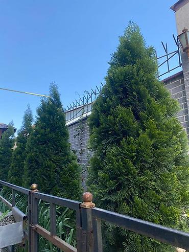 Продажа коттеджей и домов: Продается 2эт. Дом ж/м Алтын Ордо ул.21 (рядом с ул.Ахунбаева) 202 — 10