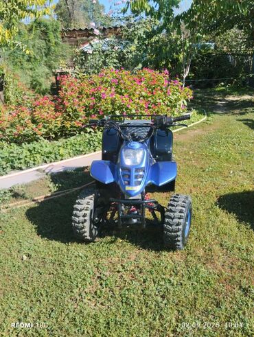 мини бульдозер: Квадроцикл Honda, Бензин, 110 куб. см, Детский