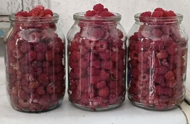 Үй жана бакча үчүн баардык: Көчөттөр : Малина, Акысыз жеткирүү lalafo.kg да Үй жана бакча үчүн баардык: Көчөттөр : Малина, Акысыз жеткирүү