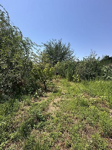 binə mehriban qonşular: 5 sot, Tikinti, Mülkiyyətçi, Kupça (Çıxarış), Texniki pasport — 5