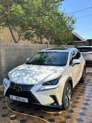 сиденья некся: Lexus NX: 2018 г., 2 л, Автомат, Бензин, Кроссовер
