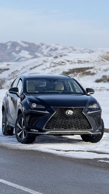 Lexus: Lexus NX: 2018 г., 2 л, Автомат, Бензин, Кроссовер