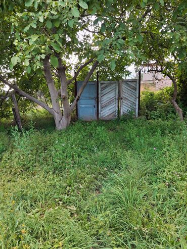 барачный дом раб городок: Дача, 25 м², 3 комнаты, Собственник, Старый ремонт