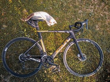 SAVA COLORADO, 54 размер Рама: TORAY T800, карбон – Япония. Вилка