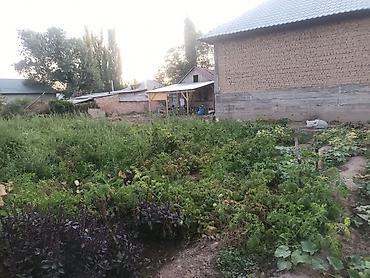 Продажа коттеджей и домов: Продаётся дом село Полтавке в одном участке два дома 1ый дом полтора — 16