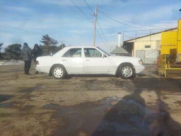 мерси цена бишкек: Mercedes-Benz W124: 1990 г., 2.3 л, Механика, Бензин, Седан