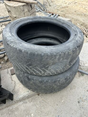 резина на уаз: Шины 205 / 55 / R 16, Лето, Пара, Легковые, Dunlop