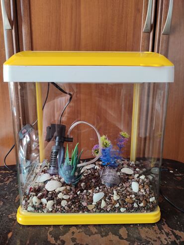 все для животных: Продается аквариум фирменный Sobo Есть: фильтр искусственные водоросли