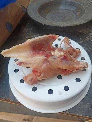 дружбу: Продаю суп набор (спинка )Беларусская курица завод, Дружба " цена — 2