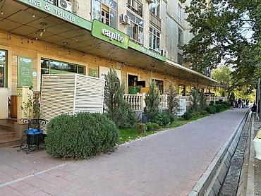 Продажа квартир: 3 комнаты, 120 м², Филармония Элитка, 6 этаж, Евроремонт — 14