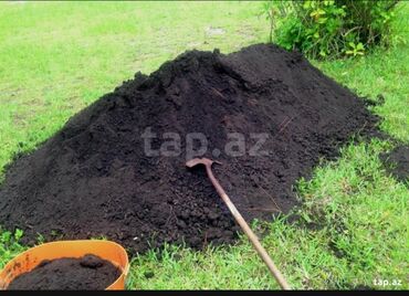 Ağaclar: Hər vaxtınız xeyir olsun dəyərli müştərilərimiz. Bizə vaxt ayırdığınız — 7