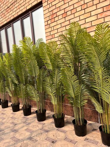 Декоративные цветы: Искусственные деревья и цветы — долговечный и стильный декор без at lalafo.kg — 24 Декоративные цветы: Искусственные деревья и цветы — долговечный и стильный декор без — 24