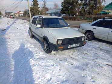 мати 2: Volkswagen Golf: 1990 г., 1.8 л, Механика, Бензин, Хетчбек