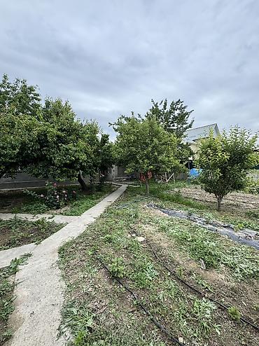 Продажа коттеджей и домов: Продаётся 3-комнатный дом в районе Арча-Бешик (ул. Чортекова, рядом с — 14