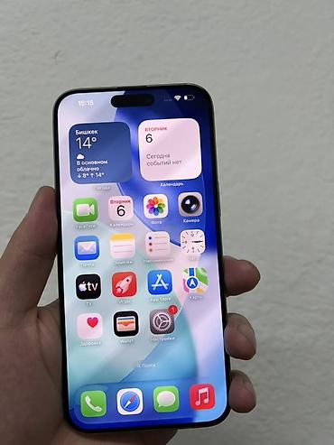 ххх 10 лет: IPhone 15 Pro Max, 256 ГБ, цвет светло‑серый (Titanium) — 2
