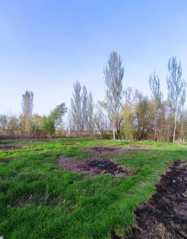 Продажа домов: Дом, 60 м², 3 комнаты, Агентство недвижимости — 4