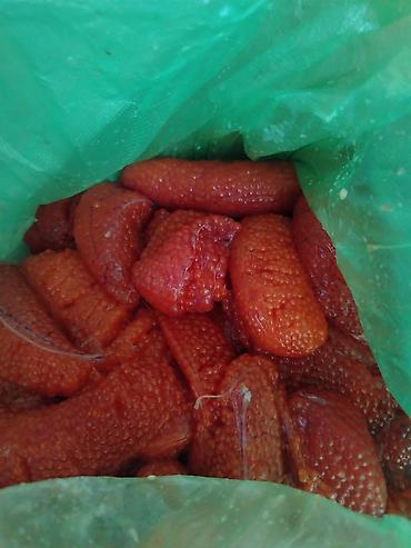 мороженое морозильник: Куплю Икру форели в ястыках — 3