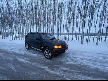 BMW: BMW X5: 2002 г., 3 л, Автомат, Дизель, Кроссовер — 3