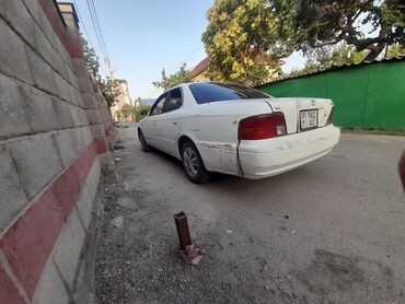 Toyota: Toyota Camry: 1995 г., 1.8 л, Механика, Бензин, Седан — 2