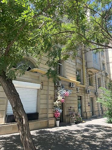 Квартиры: Баку, Поселок Ясамал, 1 комната, Вторичка, м. Эльмляр Академиясы, 25 м² — 1