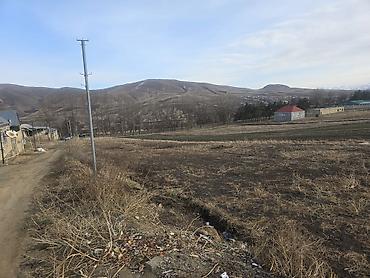 Torpaq sahələrinin satışı: 12 sot, Tikinti, Mülkiyyətçi, Kupça (Çıxarış) — 5