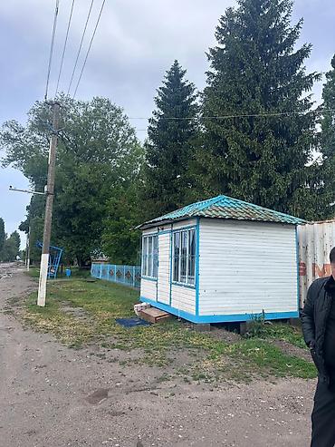 бойду остуруучу дары: Продается — 1