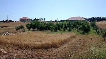 binede torpaq kupcali: 12 sot, Tikinti, Mülkiyyətçi, Kupça (Çıxarış) — 6