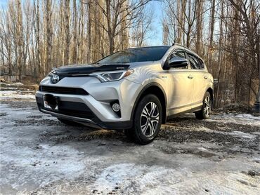 rav 4 2015: Toyota RAV4: 2017 г., 2.5 л, Автомат, Гибрид, Внедорожник