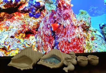 Digər ev dekoru: Sifariş öncədən qəbul olunur — 9