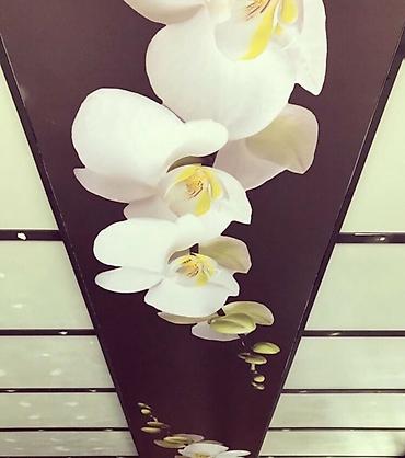 Натяжной потолок: Натяжной потолок Глянцевое, 3D потолки, Матовое — 25