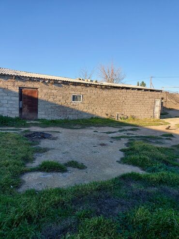 Bağ evlərinin satışı: Bakı, Qala qəs., 550 kv. m, 3 otaqlı, Hovuzsuz, Artezian quyusu, Qaz, Su — 13