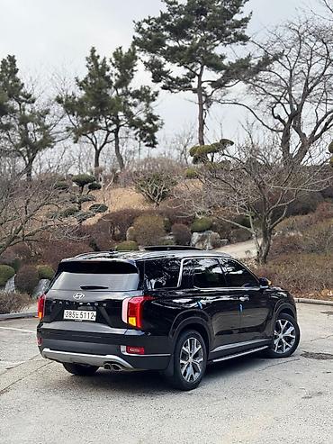 Hyundai: Hyundai Palisade: 2020 г., 2.2 л, Дизель — 6