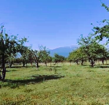 tap az günlük evler: 34 sot, Biznes üçün, Mülkiyyətçi, Kupça (Çıxarış)