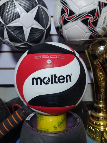 Гантели: Воллейбольный мяч Molten