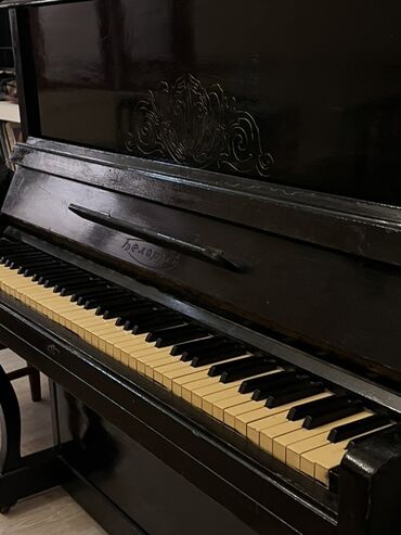 Pianolar: Piano, Belarus, Akustik