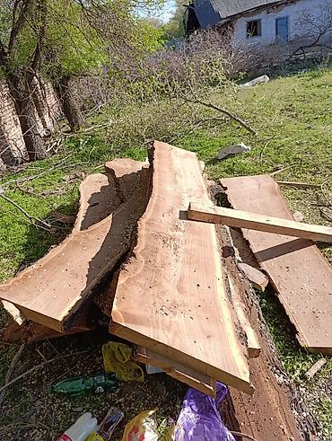 Дрова: Дрова Карагач, Самовывоз — 9