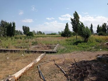 красная речка дома: Курулуш, Кызыл китеп